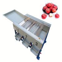 Sorteermachine Voor Tomatenvruchten Sorteermachine Voor Kersentomaat En Selecteert De Kalibteermachine Van De Machine Voor Ronde Vruchten