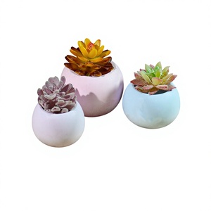 Molde de silicona DIY Smug para goteo, forma irregular pequeña, caja de almacenamiento para aromaterapia, maceta para plantas suculentas, molde para pasteles, ¡envío inmediato! - Product Image 1