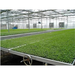 <span class=keywords><strong>DIY</strong></span>洪水托盘2x3 2x4 2x6 2x8水培洪水生长表生长系统温室退潮托盘 - Product Image 4