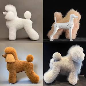 Pet kedi bakım köpek manken için fabrika doğrudan özelleştirilebilir köpekler modeli - Product Image 3
