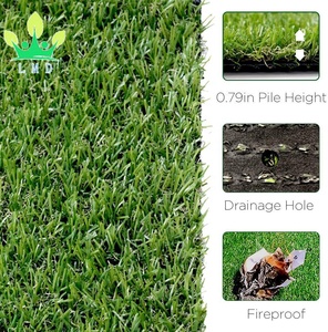 Césped Artificial de tamaño personalizado, césped Artificial para perros, césped sintético de imitación de 20MM de grosor, área de alfombra interior sintética para exteriores 2FTX5 - Product Image 3