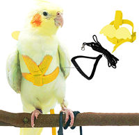 Harnais et laisse réglable pour oiseaux d'entraînement Laisse de harnais pour oiseaux perroquet Corde en nylon avec aile mignonne pour perroquets Laisse de harnais pour oiseaux