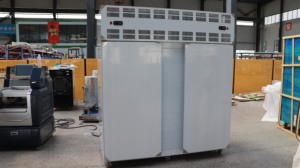 Macchina per Congelamento Rapido IQF di Carrube e Mango, Linea Industriale per Congelamento Impasti - Product Image 4
