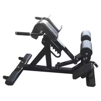 Banc d'hyperextension pour équipement de fitness de chaise romaine d'extension de dos de tube ovale de centre de gymnastique commerciale