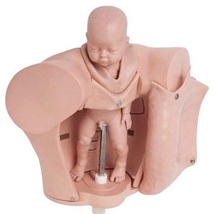 Maniquí Avanzado de Parto para Educación Médica, Simulador de Parto Portátil, Modelo de Entrenamiento - Product Image 5