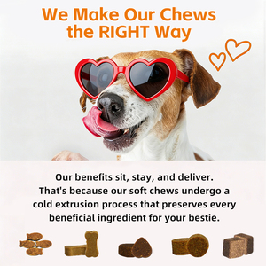 ग्लुकोसामाइन चोन्ड्रोइटिन एमएसएम हाइलूरोनिक एसिड कुत्ता कूल्हे और संयुक्त दर्द राहत टैबलेट अनाज मुक्त गतिशीलता पूरक - Product Image 3