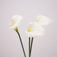 LO-967 Vente en gros de fleurs artificielles mini Calla Lily à tige unique de 55 cm, effet toucher réel, pour bouquet de mariage, arrangement floral commercial