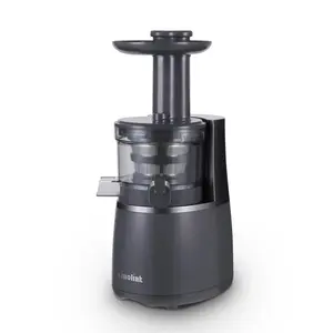 Hot Selling Hoge Kwaliteit Fruit Groente Masticating Slow Juicer