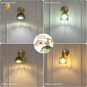 现代简约花卉玻璃壁灯现代金色床头灯卧室书房发光二极管镜灯北欧壁灯 - Product Image 3