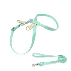 Yüksek Kaliteli Moda Kumaş Evcil Hayvan Tüy Dökülmesini Önleyici Nefes Alabilen Rahat Ayarlanabilir Köpek Yürüyüş Tasması - Product Image 2