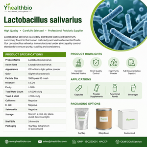Poudre de probiotiques <span class=keywords><strong>Lactobacillus</strong></span> <span class=keywords><strong>Salivarius</strong></span> à haute activité, souches microencapsulées, matière première pour complément alimentaire - Product Image 2
