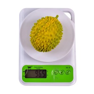 Pelota Antiestrés de Durian, Juguete Sensorial Elástico y Blandito, Simulación Creativa de Fruta para Jóvenes, Logotipo Personalizado Disponible - Product Image 6