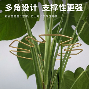 Soporte Metálico Retráctil Airi Shield para Plantas de Hoja, Enrejado para Monstera - Product Image 3