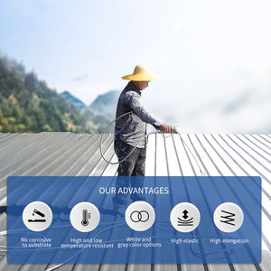 Revêtement imperméable 100% silicone pour toiture en béton, très vendu - Product Image 6