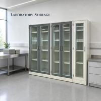 Meuble de laboratoire tout-en-un : Armoire de rangement en acier durable pour salle blanche