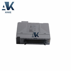โมดูลเอาต์พุตดิจิตอล Yokogawa S1 ADV561-P11 - Product Image 2