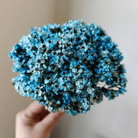 Petites fleurs séchées naturelles mini marguerites blanches, remplisseurs floraux réels pour DIY, décorations de Noël, de la Fête des Mères, de la remise des diplômes et pour la maison, en verre