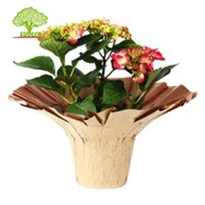 Mixed Color Home Decoration Kraft Paper Flower Plant Pot Cover With Customized Size