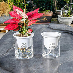 Maceta Autorriego para Dropshipping, Macetero Transparente de Plástico con Riego Automático y Mecha para Suculentas, Hierbas y Violetas Africanas - Product Image 4