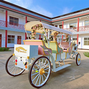 Chariot de tourisme à chevaux pour visites urbaines, faible MOQ, vente en gros - Product Image 6