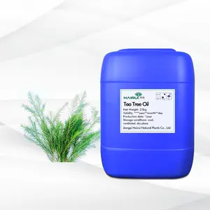 Manufacturer Wholesale Bulk Tea Tree Oil Private Label 100% Pure Natural Organic Tea Tree Oil For Hair