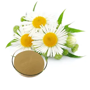 chamomile extract powder Matricaria chamomilla extract Matricaria recutita powder