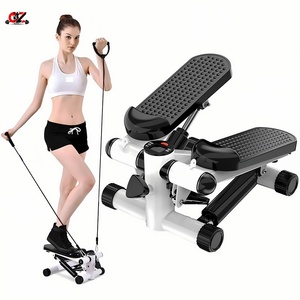 Home Use Double Hydraulic Indoor Stepper Small Silent Weight Loss Fitness Equipment for Waist Slimming Leg Twisting Optimal - Product Image 1