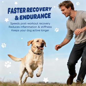 Muscle Builder Weight Gain High Protein Calcium Muscles Soft Chews Supplément de santé <span class=keywords><strong>pour</strong></span> chiens Suplementos Para Perros - Product Image 5