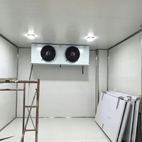 Ruang Pendingin Walk-in Kustom, Ruang Penyimpanan Dingin 10ftx10ftx8ft, Cold Room Walk-in Cooler