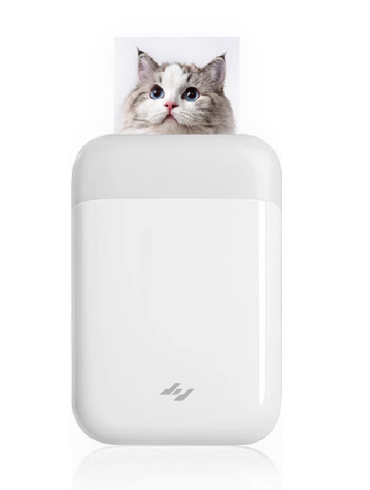 Pocket Photo Printer Mobile Phone Instant Camera AR Video Recorder Wireless BT Home Use ZPP110