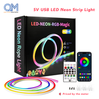 Bande lumineuse LED intelligente flexible néon Pixel WS2811, étanche, télécommandée, pour décoration extérieure et aménagement paysager