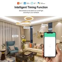 Commutateur intelligent AC220V Tuya 85-250V 2CH Module de relais WiFi 5V 12V 24V 433MHZ RF télécommande Google Home Alexa Tuya 2CH récepteur