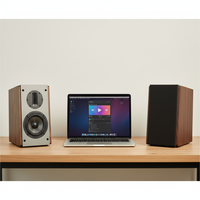 200W haute puissance haute fidélité haut-parleur maison HIFI fièvre passif Audio Home cinéma étagère bureau 4 pouces ruban tweeter