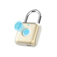 Cadenas de sécurité intelligent électronique à empreinte digitale en acier pour porte, petit format, pour sac à main, vente en gros Chine