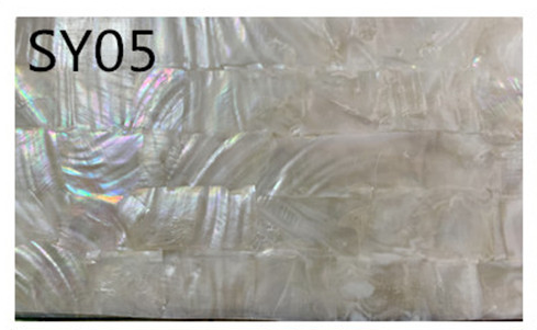 SY05