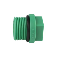 Embout de prise fileté mâle hexagonal avec filetage d'étanchéité pince de tuyau en plastique raccords PPR-1 FF 101FF capuchon d'extrémité de prise d'écrou Ppr