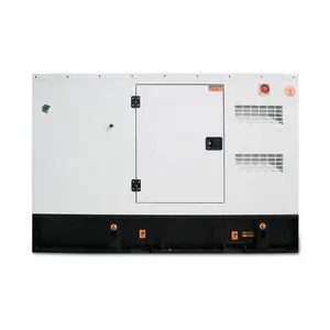 Automatic Transfer Switch Ats 60kw 75kva Diesel Generator Set with Silent Canopy