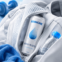 Eau gazeuse sans sucre 330ml en canette, boisson gazeuse personnalisable avec logo et saveur, boisson rafraîchissante
