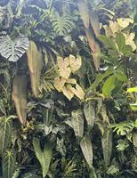 Mur végétal artificiel, mur de plantes vertes, tapis d'herbe, décoration murale intérieure, pelouse verte, fausse fleur en plastique, fond mural