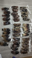 Tresses Bohèmes Courtes 12 Pouces, Cheveux à Ondulations Souples Pré-Étirés pour Tressage, Cheveux Bouclés pour Extensions Capillaires