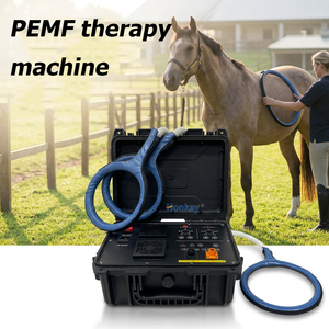CE Certified Pets Pemf leg <b>Massage</b> <b>Machine</b> Reduce Soreness After Exercise Help Muscle Recovery PEMF pet Wellness Device - Product Image 1