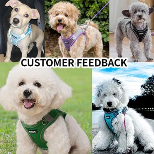 Высококачественный Регулируемый полиэстеровый поводок для собак, удобный дышащий уличный ошейник, комплект модных крючков - Product Image 3