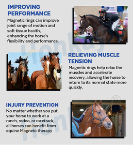 Machine PEMF à double contrôle pour l'équitation, formation gratuite, prévention des blessures sportives, dispositif à impulsions magnétiques PEMF pour centre équestre - Product Image 4