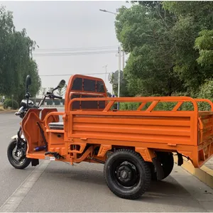 electric cargo tricycle farm cargo tricycle scooter 3 wheel adult three wheels volta for charging generator electric tricycles