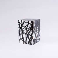 Tables Basses Décoratives en Acrylique Transparent et Bois de Luxe au Design Spécial pour Chambre et Salon