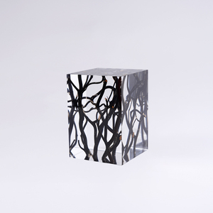 Tavolini da Caffè in Acrilico Trasparente con Design Speciale in Legno di Lusso, Decorazioni per Camera da Letto e Soggiorno - Product Image 3