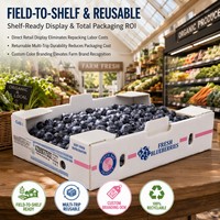 Fabricant de caisses de transport ventilées pour fruits frais et baies, en polypropylène ondulé sur mesure, pour myrtilles peu profondes