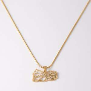 Inspire-collar de acero inoxidable con <span class=keywords><strong>mapa</strong></span> de caligrafía, joyería personalizada de fábrica, Oem, <span class=keywords><strong>mapa</strong></span> urbano nacional de África, Pakistán y Jordan - Product Image 2