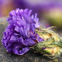 Bunga Statice Ungu Kering Grosir, Limonium Sinuatum Alami, Kuncup Bunga Kering untuk Bahan Baku Campuran Teh Herbal