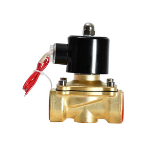 1/4Inch 2W-08 Ac 220V/110V/24V Dc 24V/12V Water Messing Controle Magneetventiel Oem 1 Jaar Garantie - Product Image 1